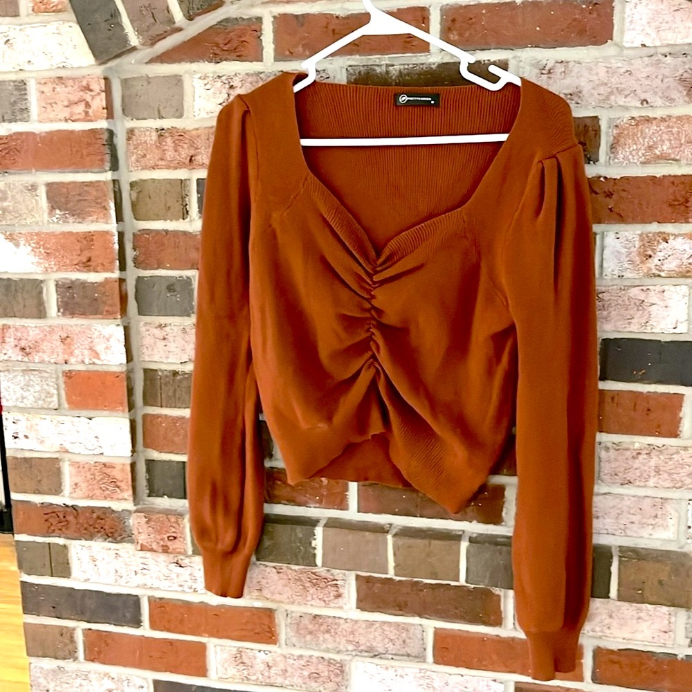 PRETTY GARDEN Brown Sweetheart Neckline Cropped Sweater NWOT - Picture 2 of 9